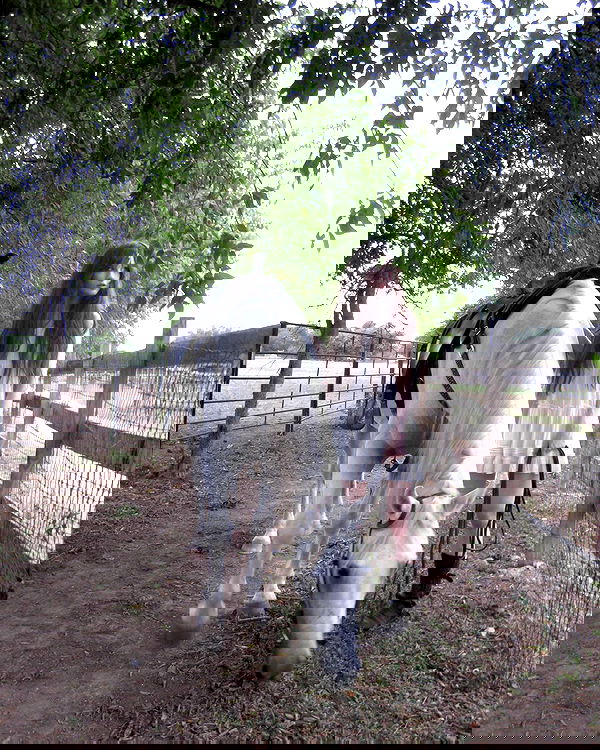 norafawn norafawn archive image