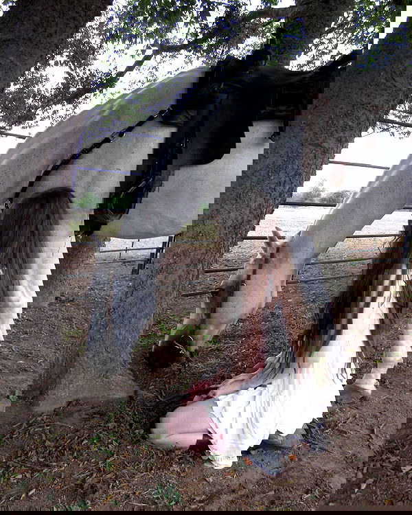 norafawn norafawn archive image