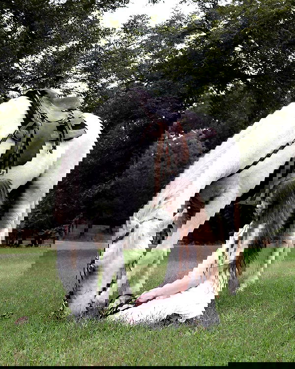 norafawn norafawn archive image