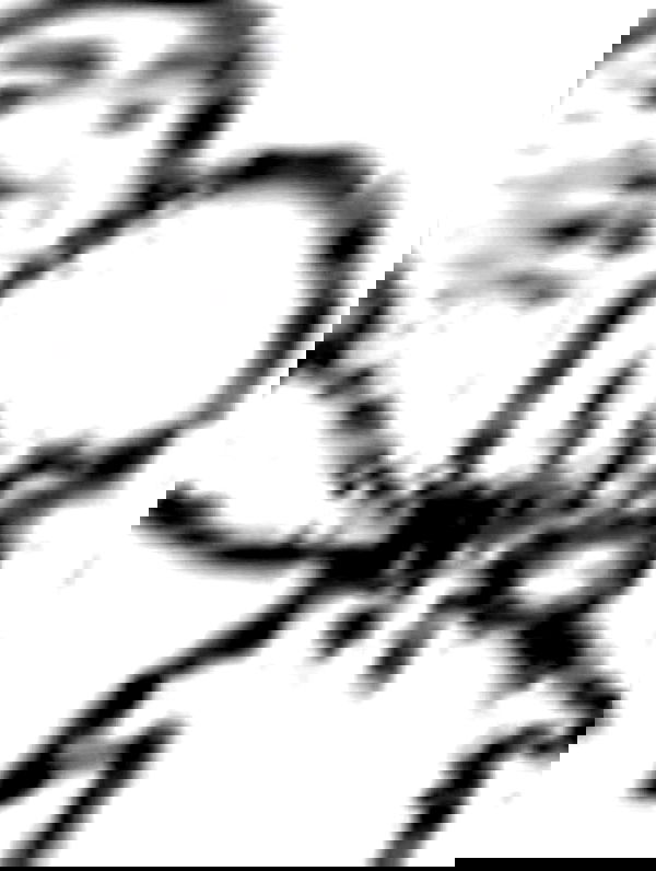 norafawn norafawn archive image