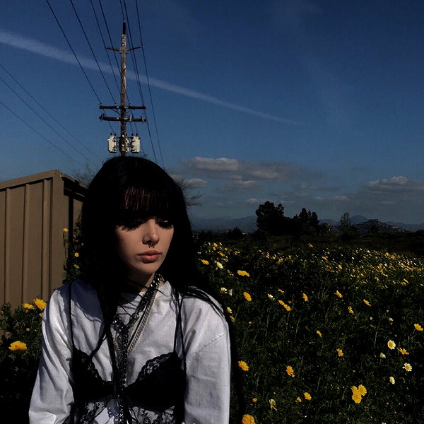 novahnovielli instagram image archive image
