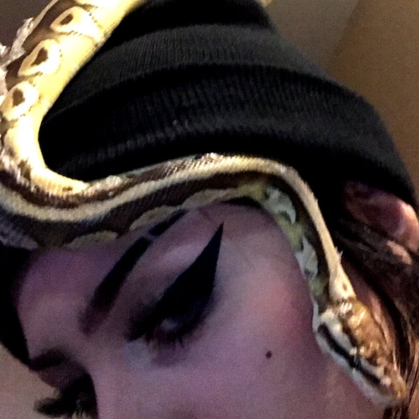 novahnovielli instagram image archive image