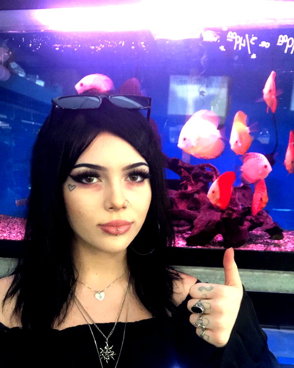 novahnovielli instagram image archive image