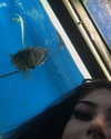novahnovielli Altpins Profile Picture