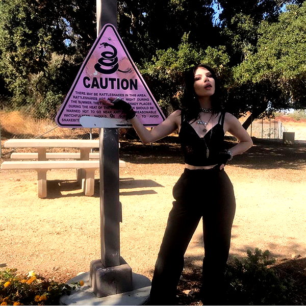 novahnovielli instagram image archive image