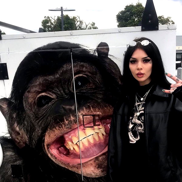 novahnovielli instagram image archive image