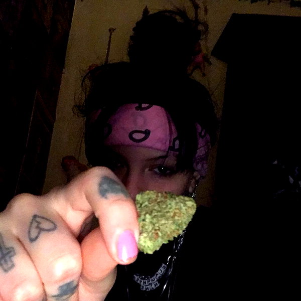 novahnovielli instagram image archive image