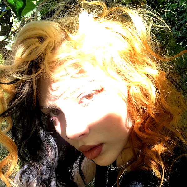 novahnovielli instagram image archive image