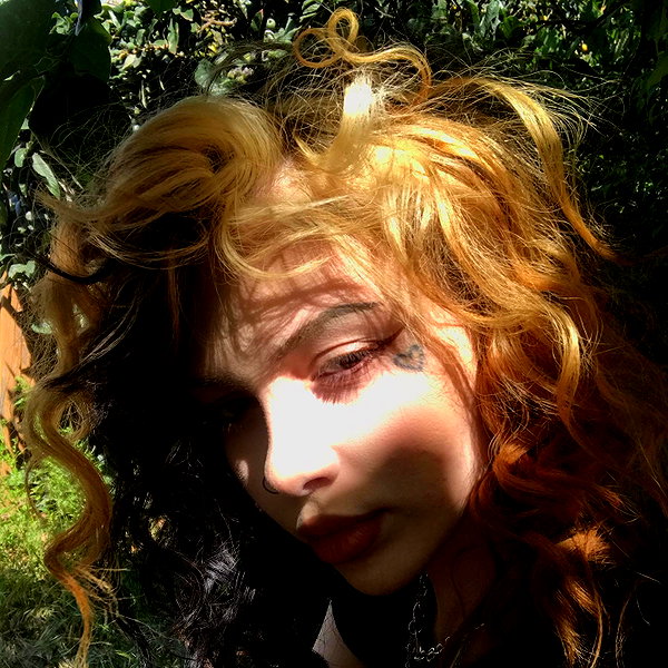 novahnovielli instagram image archive image