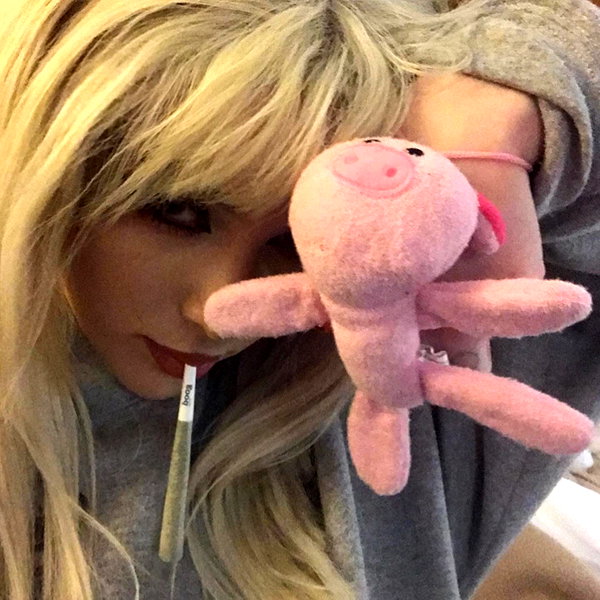 novahnovielli instagram image archive image