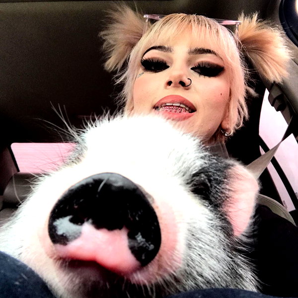 novahnovielli instagram image archive image