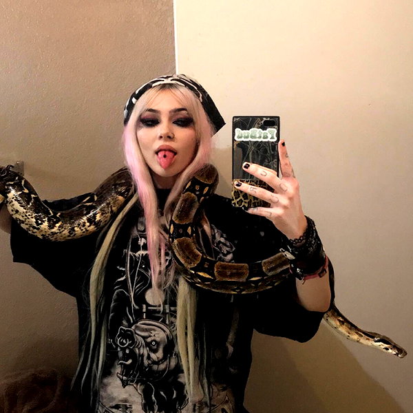 novahnovielli instagram image archive image