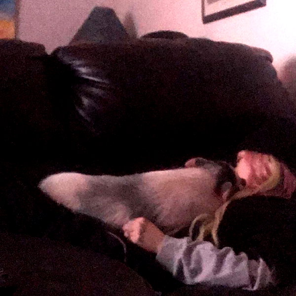 novahnovielli instagram image archive image