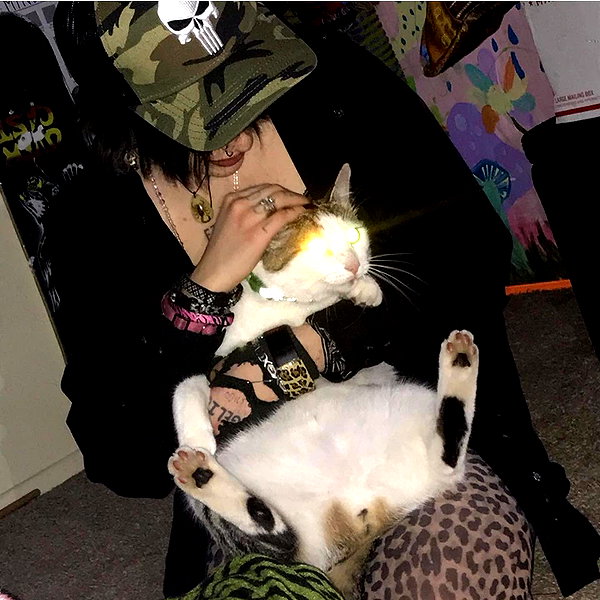 novahnovielli instagram image archive image