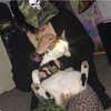novahnovielli Altpins Profile Picture