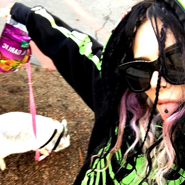 novahnovielli instagram image archive image