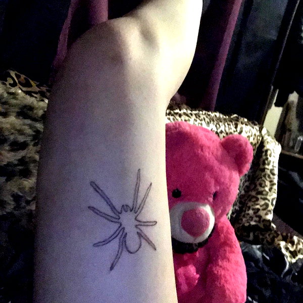 novahnovielli instagram image archive image