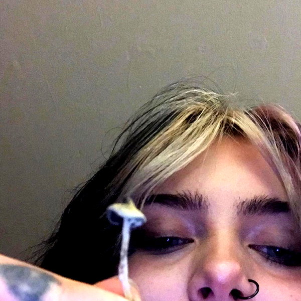 novahnovielli instagram image archive image