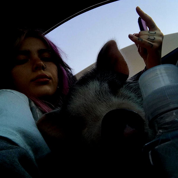 novahnovielli instagram image archive image
