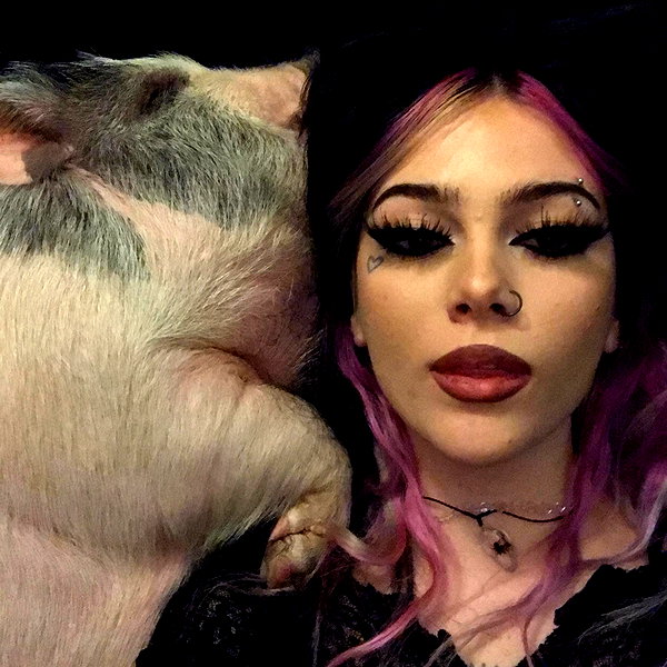 novahnovielli instagram image archive image