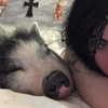 novahnovielli Altpins Profile Picture
