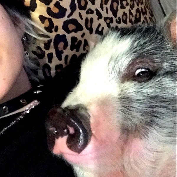 novahnovielli instagram image archive image