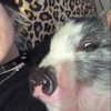 novahnovielli Altpins Profile Picture