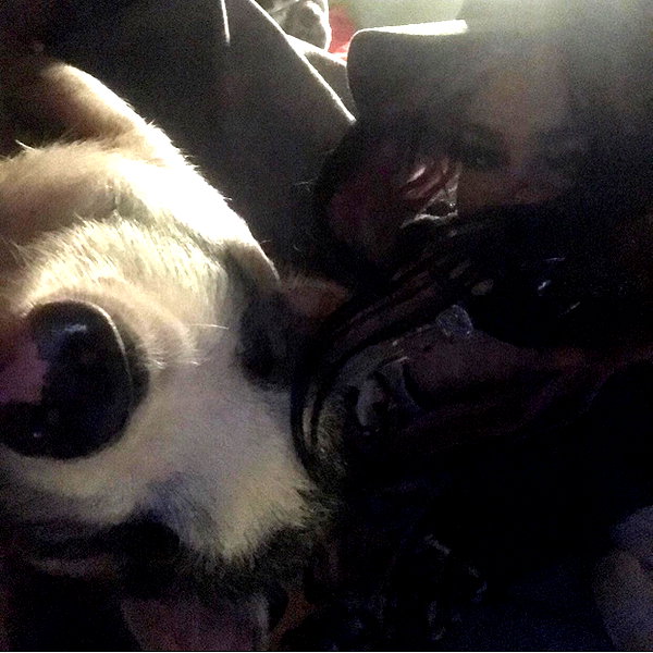 novahnovielli instagram image archive image