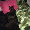 novahnovielli Altpins Profile Picture