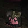 novahnovielli Altpins Profile Picture