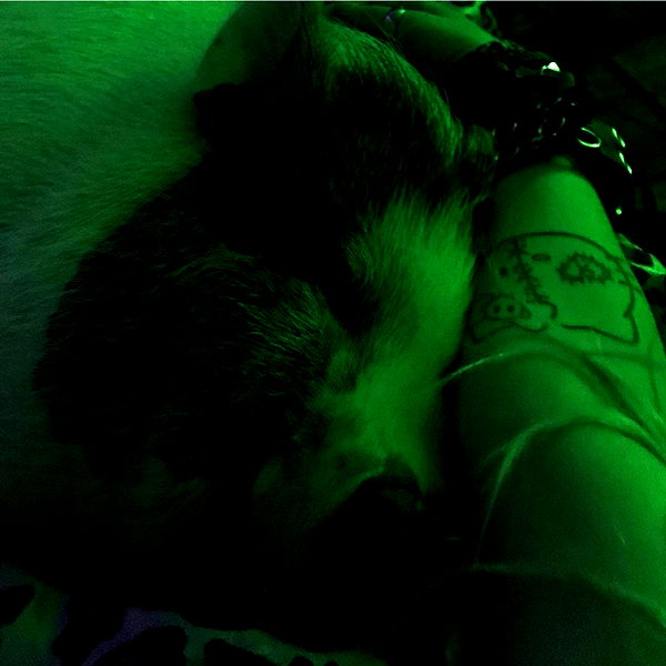 novahnovielli instagram image archive image