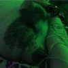 novahnovielli Altpins Profile Picture
