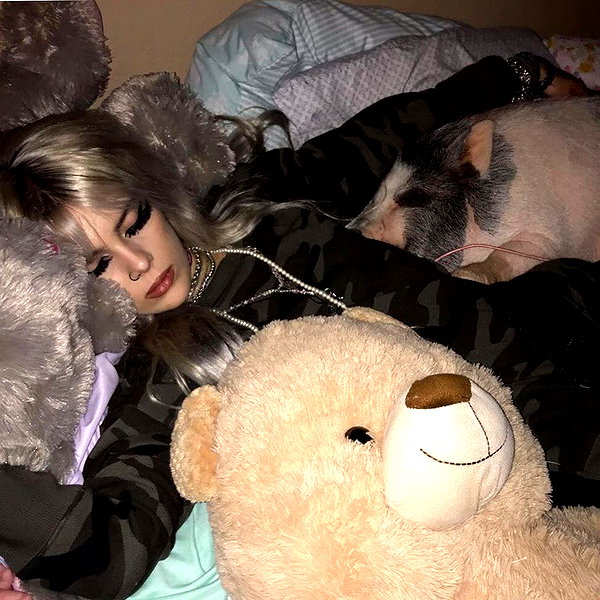 novahnovielli instagram image archive image