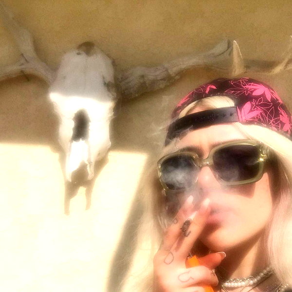novahnovielli instagram image archive image