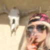 novahnovielli Altpins Profile Picture
