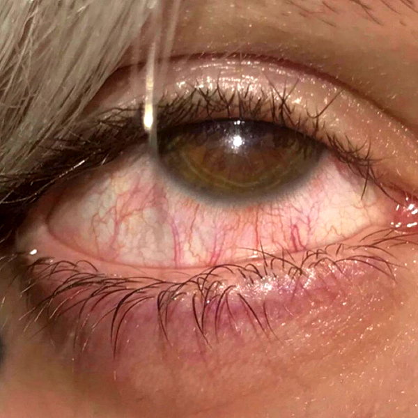 novahnovielli instagram image archive image