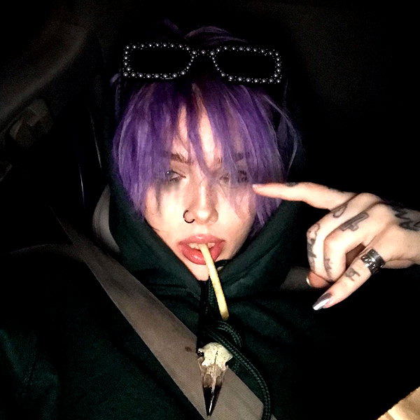 novahnovielli instagram image archive image