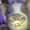 novahnovielli Altpins Profile Picture