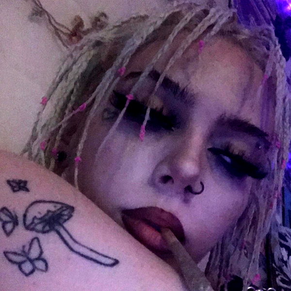 novahnovielli instagram image archive image