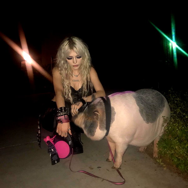 novahnovielli instagram image archive image