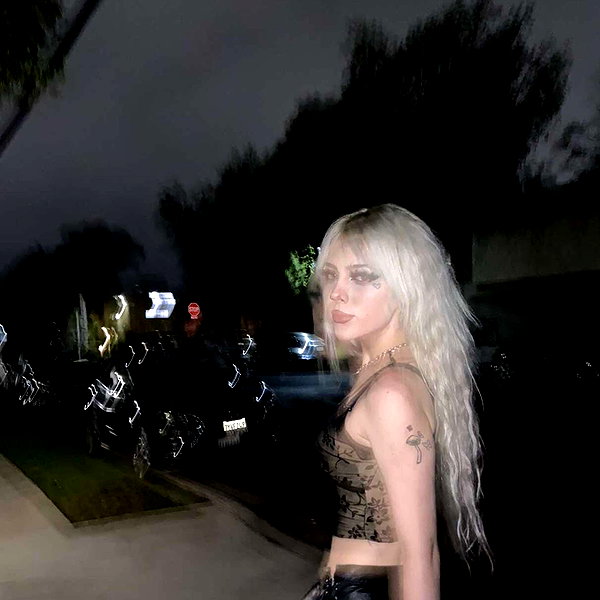 novahnovielli instagram image archive image