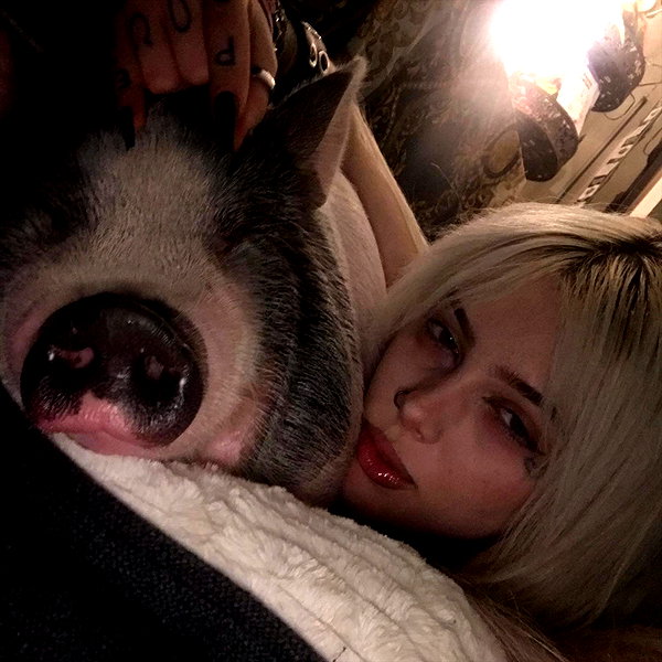 novahnovielli instagram image archive image