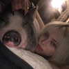 novahnovielli Altpins Profile Picture
