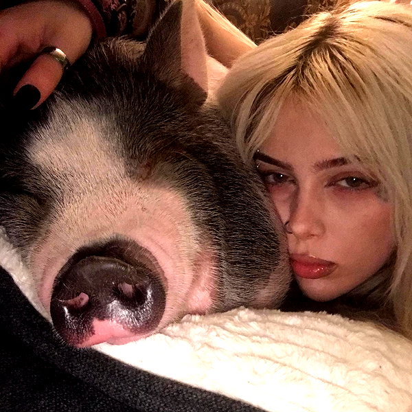 novahnovielli instagram image archive image