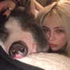 novahnovielli Altpins Profile Picture