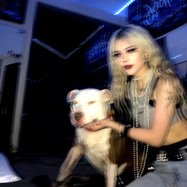 novahnovielli instagram image archive image