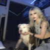novahnovielli Altpins Profile Picture