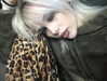 novahnovielli Altpins Profile Picture