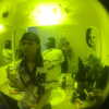 novahnovielli Altpins Profile Picture
