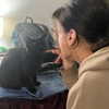 novahnovielli Altpins Profile Picture